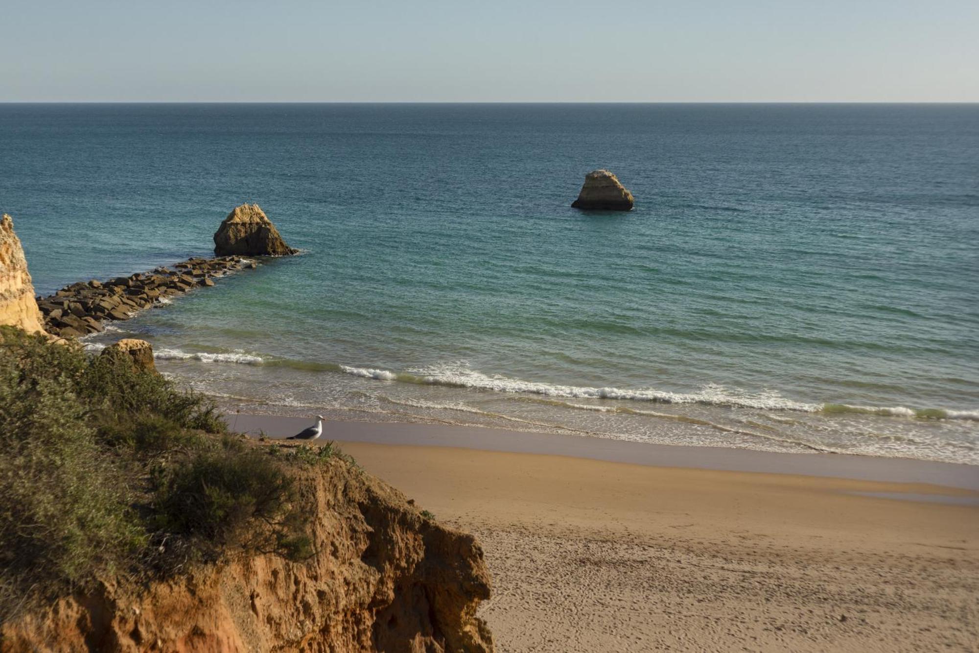 New - Portimao Casinha Lägenhet Exteriör bild